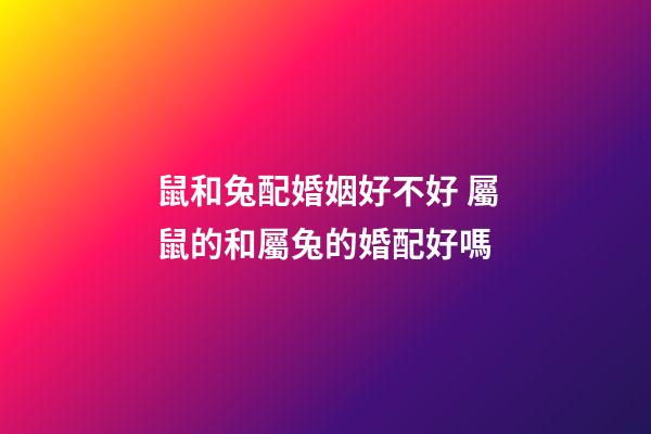 鼠和兔配婚姻好不好 屬鼠的和屬兔的婚配好嗎-第1張-觀點-玄機派